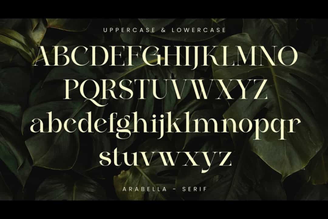Arabella Font Image 11
