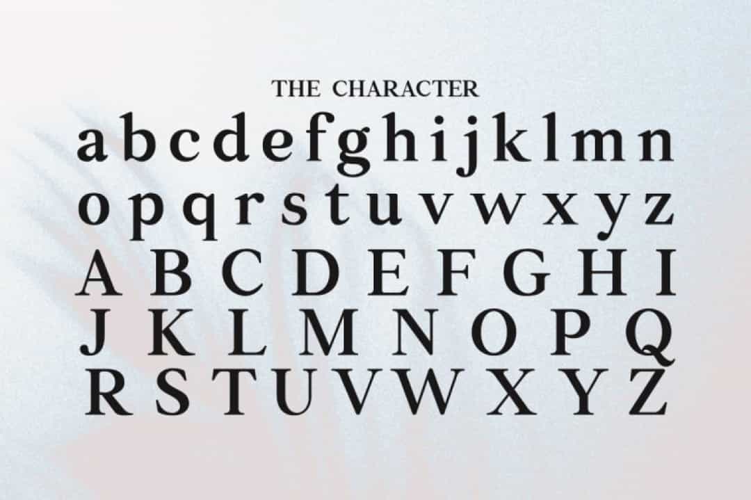 Rellita Display Font Image 8