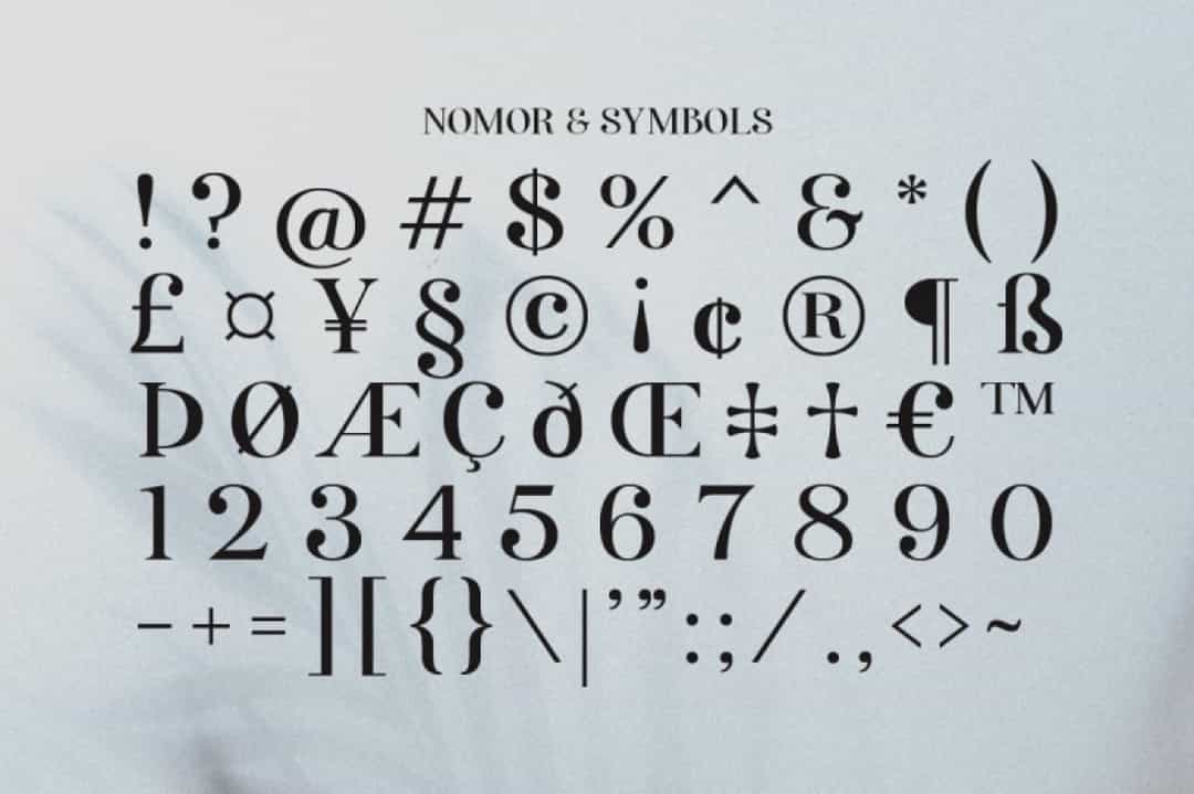 Rellita Display Font Image 9