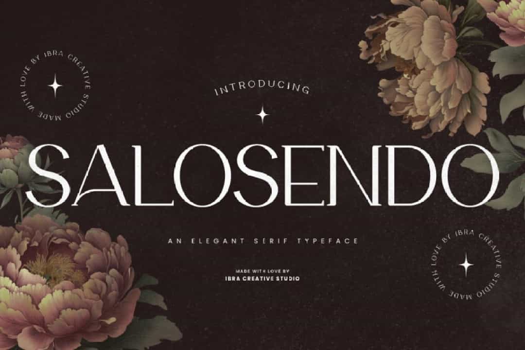 Salosendo Font Image 7
