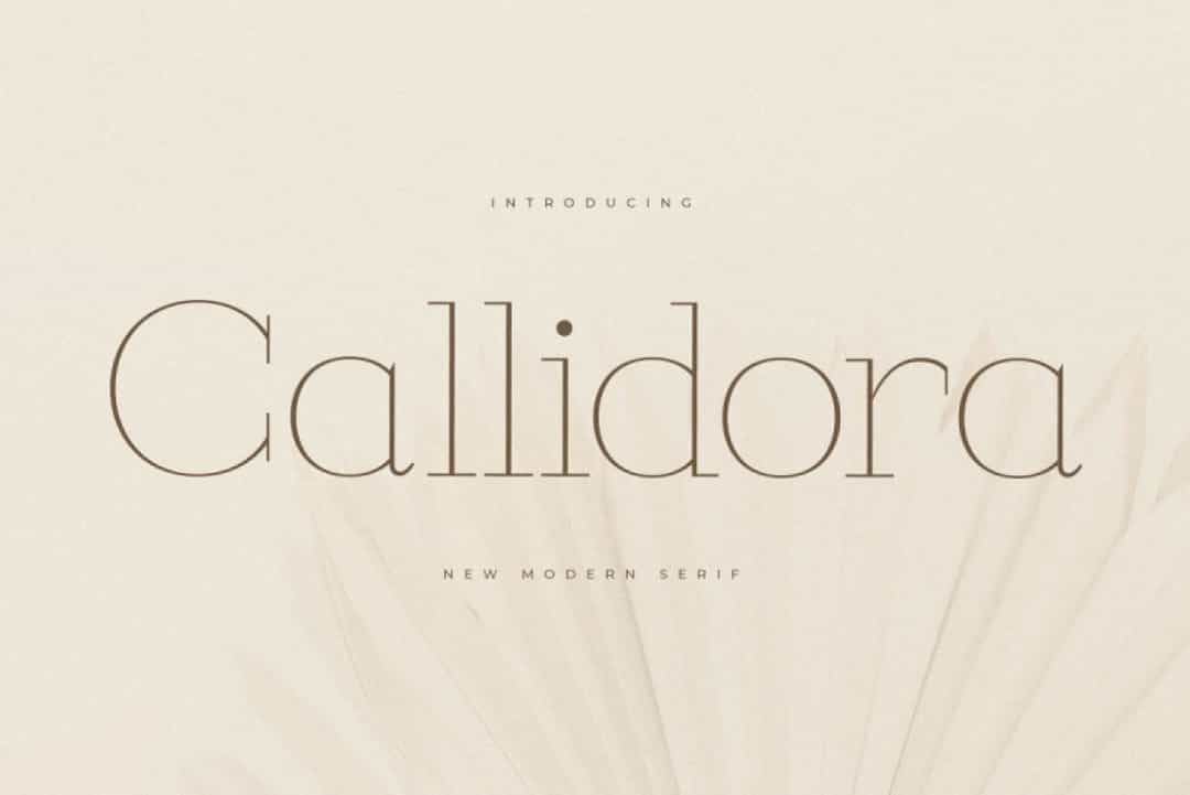 Callidora Font Image 7