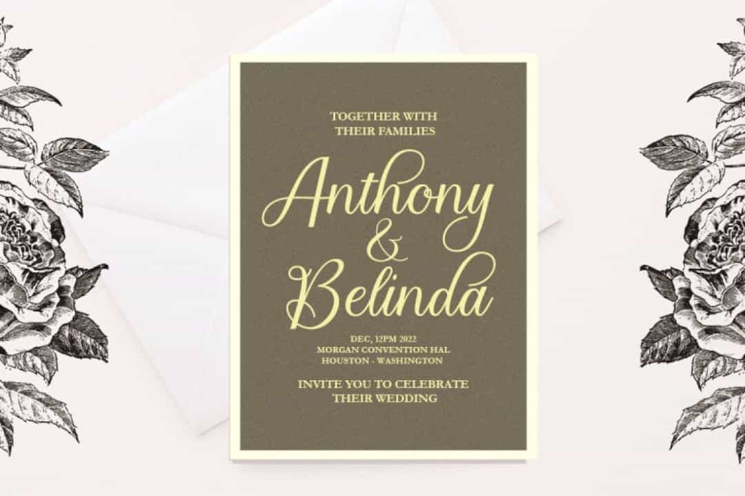 Bailies Script Font Image 11