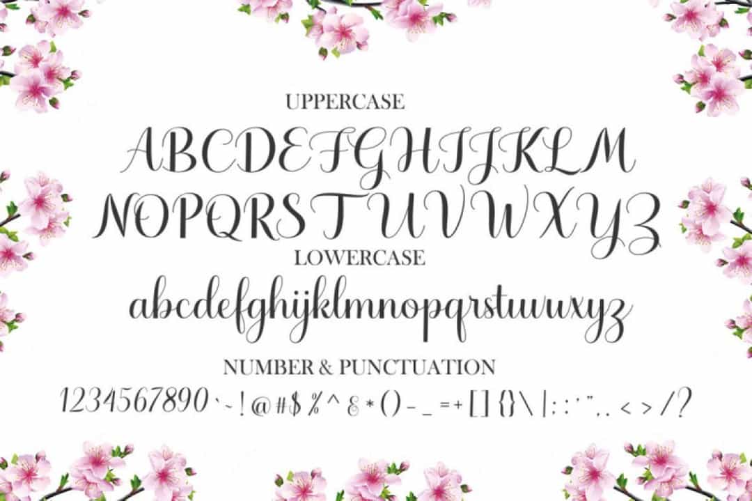 Haydena Font Image 15