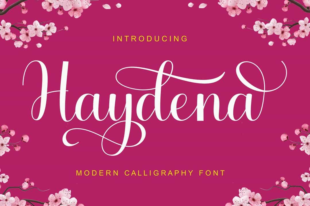 Haydena Font Image 16