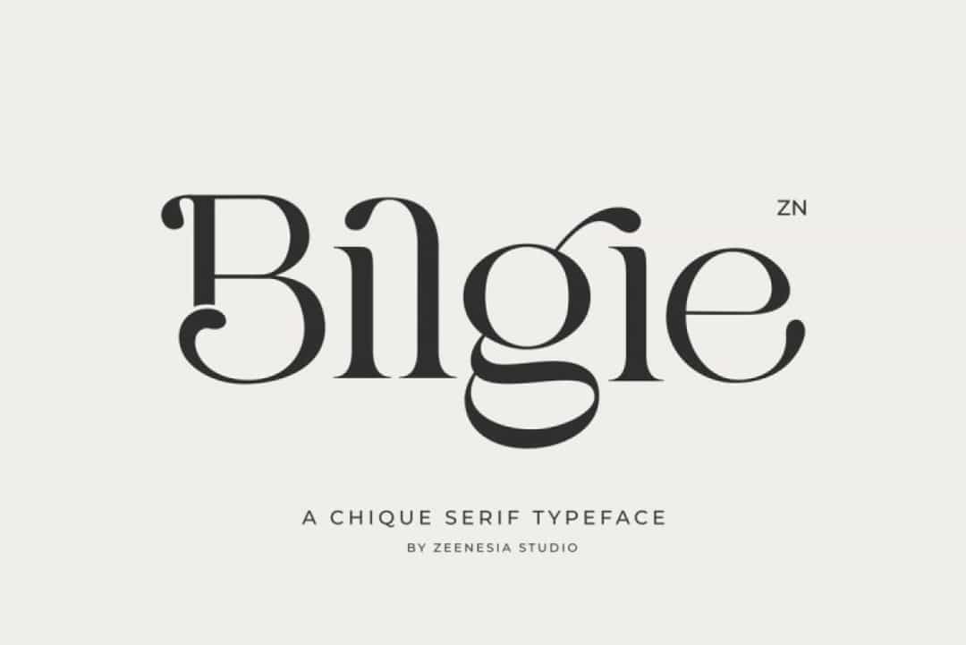 Bilgie Font Image 17