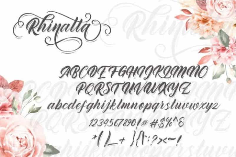 Rhinatta Script Font Image 2