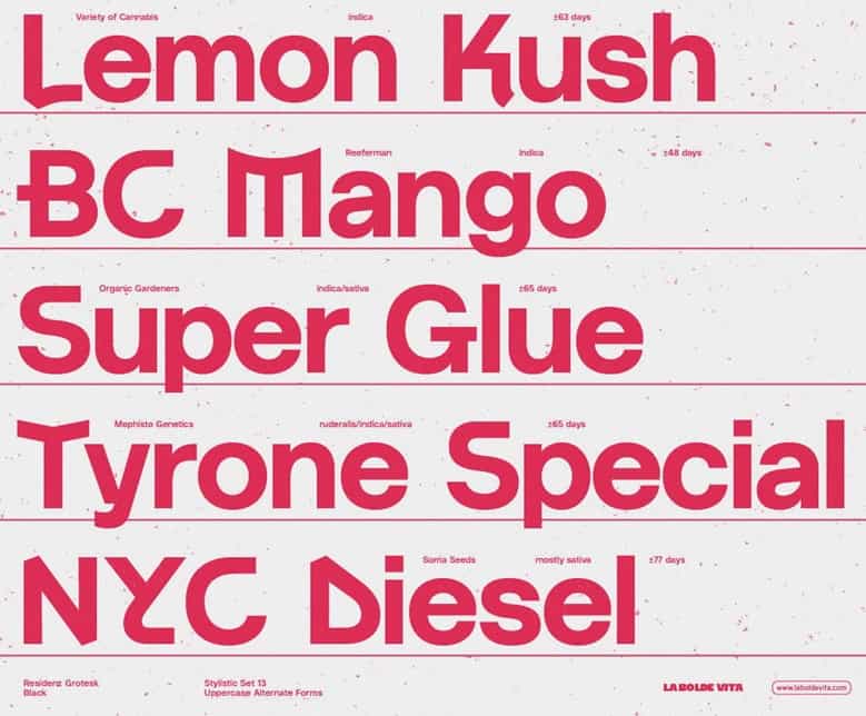 Residenz Grotesk Font Family Image 2