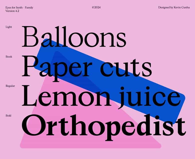 Eyes for Serifs Font Family Image 2