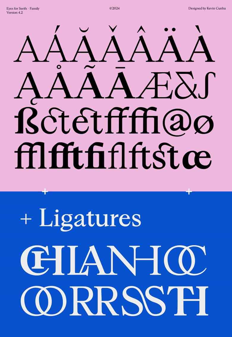 Eyes for Serifs Font Family Image 3