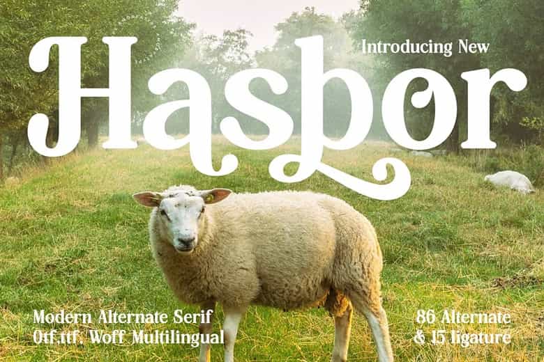 Hasbor Font Image 1