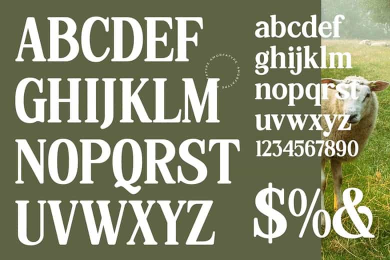 Hasbor Font Image 3