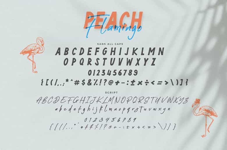 Peach Flamingo Font Duo Image 3