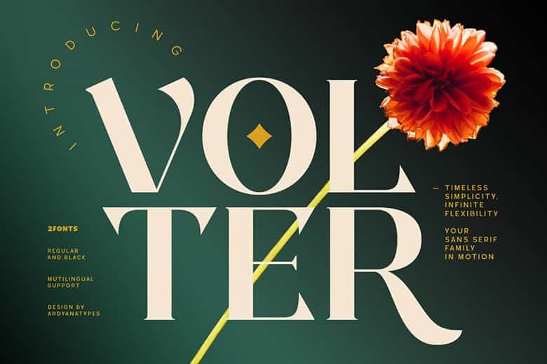 Volter Font Image 1