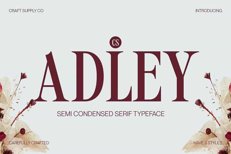 CS Adley Font Image 1