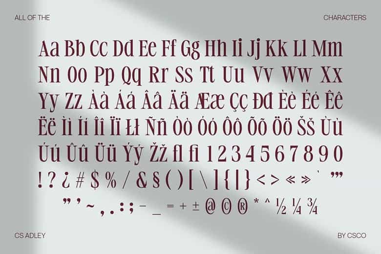 CS Adley Font Image 3