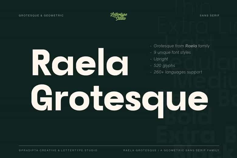 Raela Grotesque Font Family Image 1