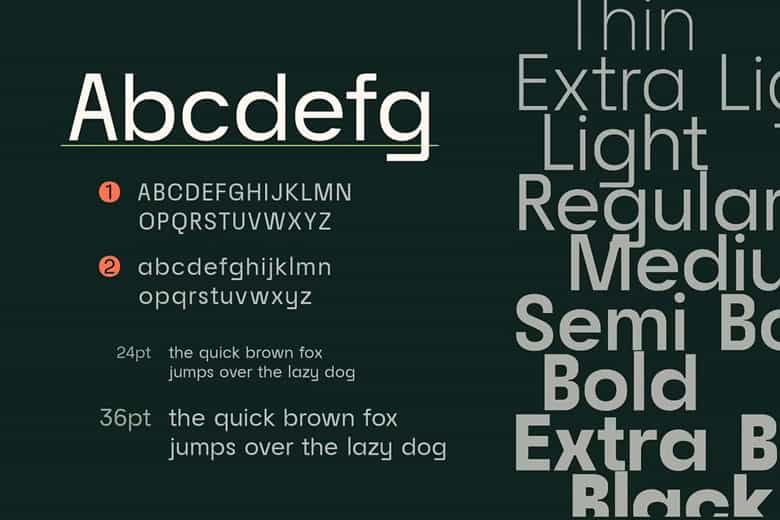 Raela Grotesque Font Family Image 2
