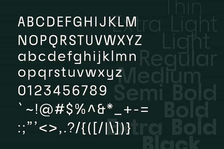 Raela Grotesque Font Family Image 3