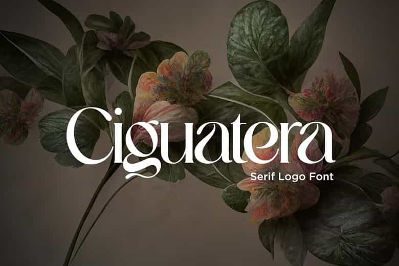 Ciguatera Font Image 1