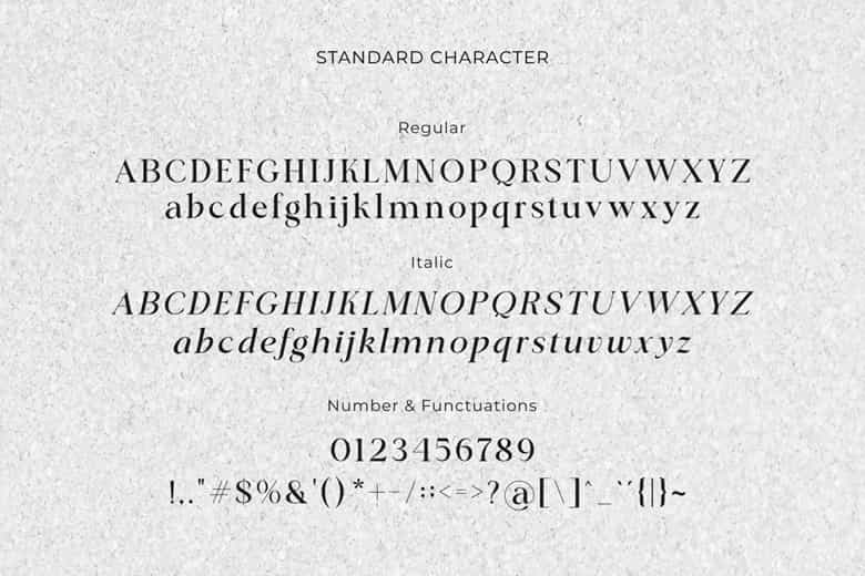 Classical Premiera Font Image 3