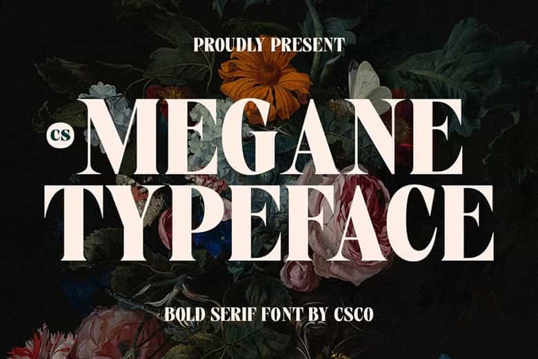 CS Megane Font Image 1