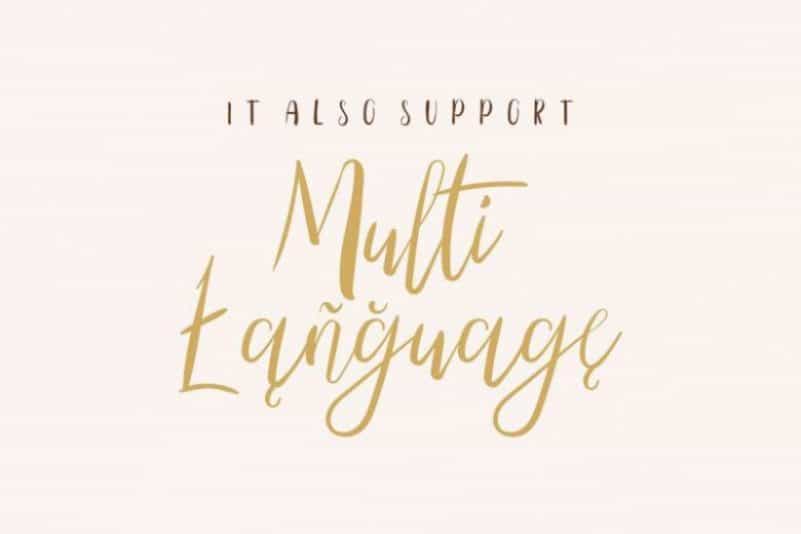 The Right Attitude Script Font Duo Image 2