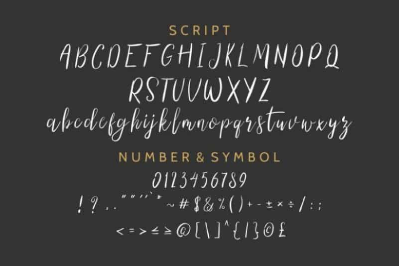 The Right Attitude Script Font Duo Image 3