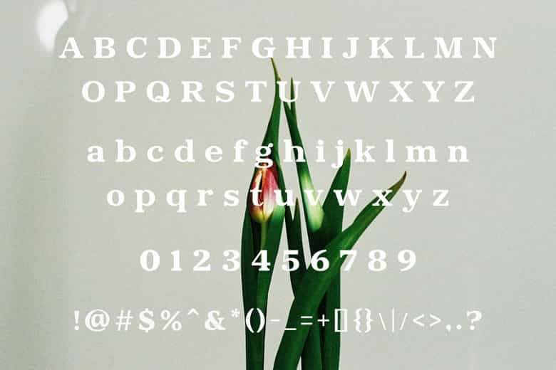 Qhuyfog Font Image 3
