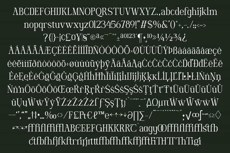 DT Hebrinks Font Image 3