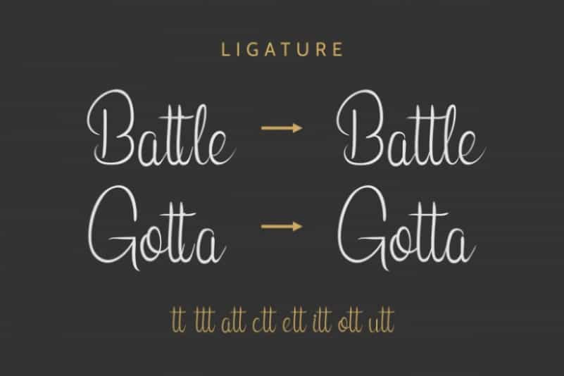 Leonita Calligraphy Font Image 2