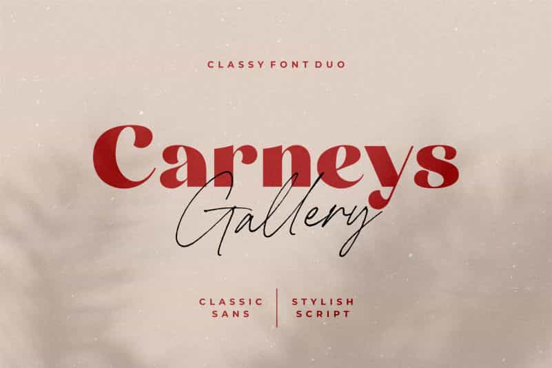 Carneys Gallery Font Duo Image 1