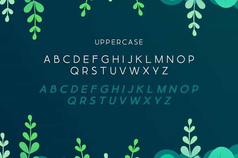 Navara Font Image 2