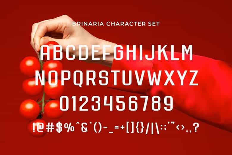 Brinaria Font Image 3