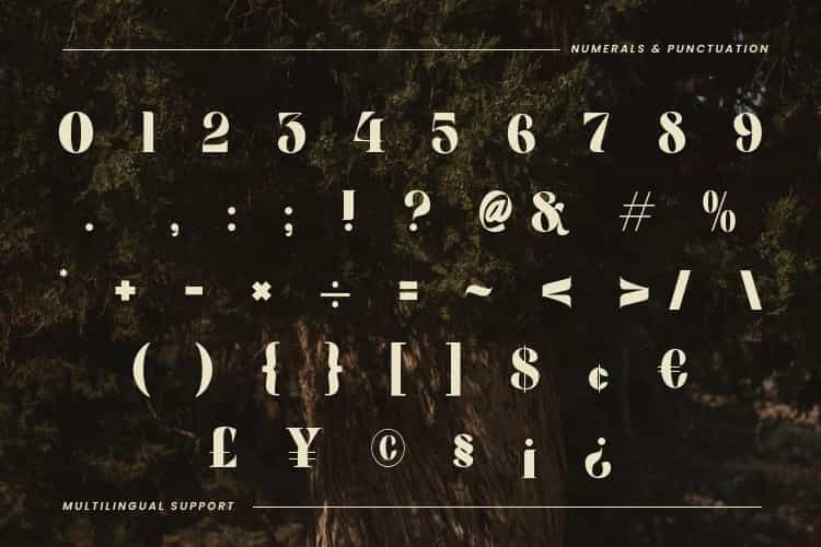 Lasthen Font Image 3