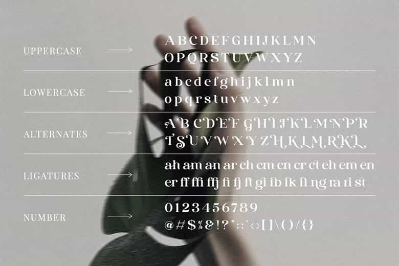 Hiraling Font Image 3