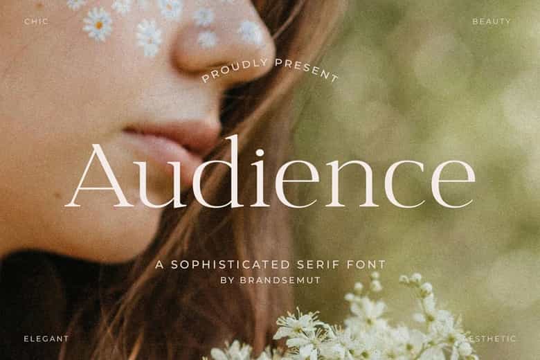 Audience Font Image 1