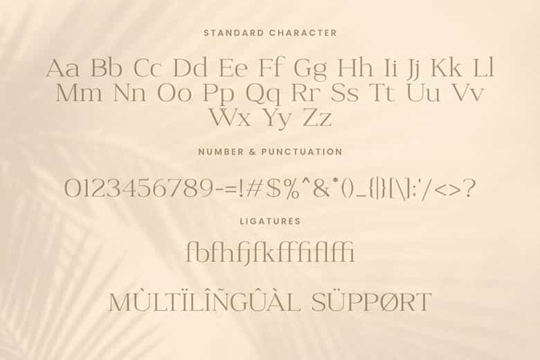 Audience Font Image 3