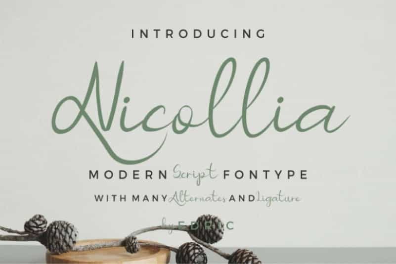 Nicollia Script Font Image 1