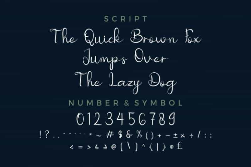 Nicollia Script Font Image 2