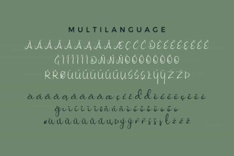 Nicollia Script Font Image 3