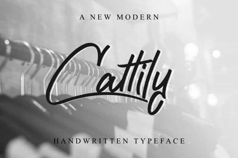 Cattily Calligraphy Font Image 1