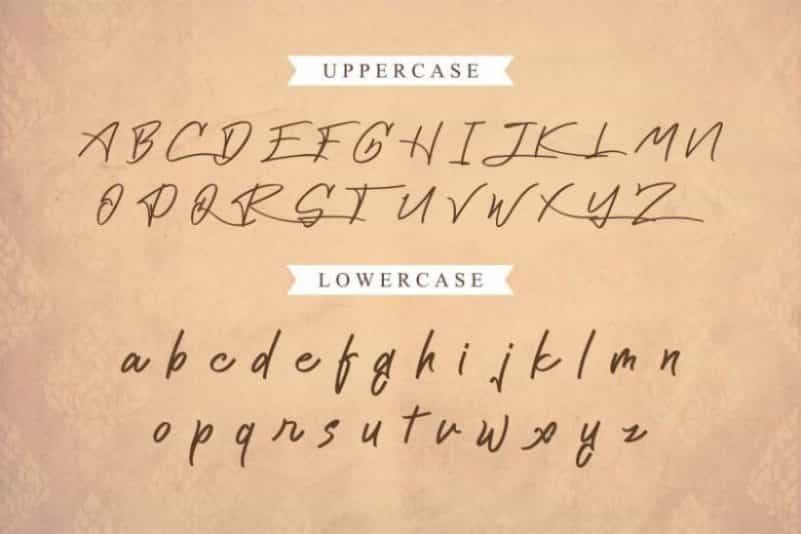 Cattily Calligraphy Font Image 3