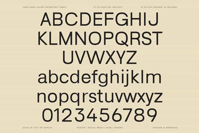 Lenia Sans Font Image 39