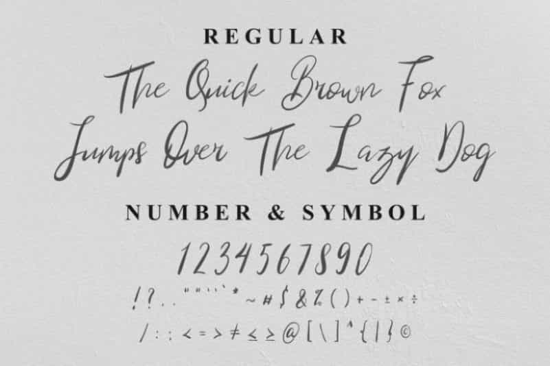 Blind Heart Script Font Image 2