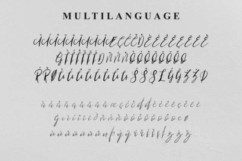 Blind Heart Script Font Image 3