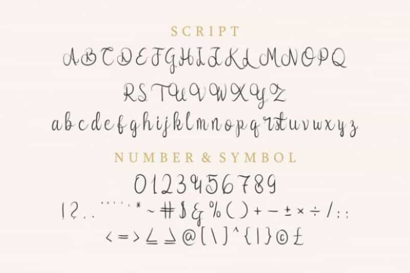 Syllia Calligraphy Font Image 3