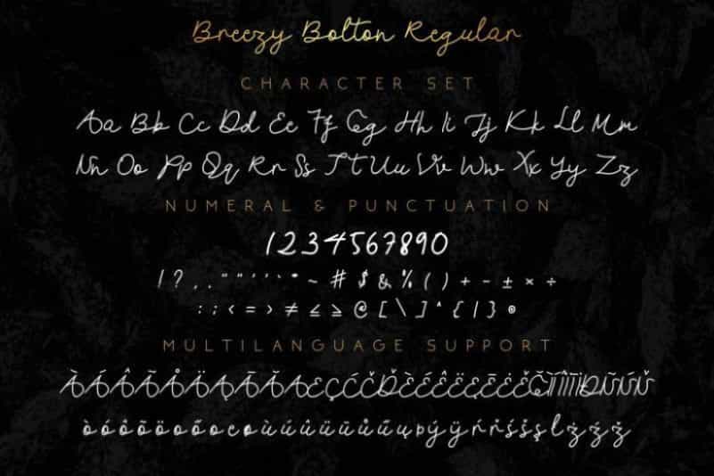 Breezy Bolton Script Font Duo Image 3