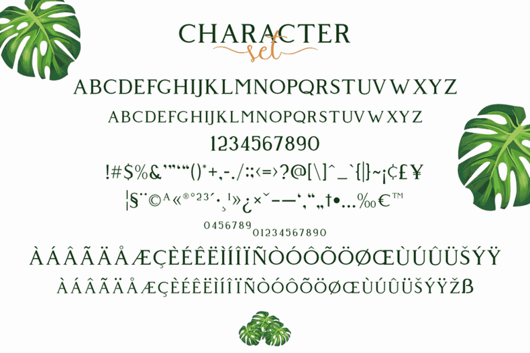 Giveny Serif Font Family Image 3