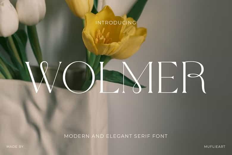 Wolmer Font Image 1