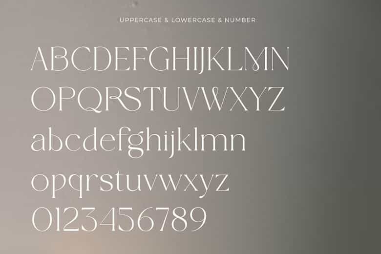 Wolmer Font Image 2